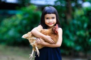 a little girl holding a chicken in her arms at Bang Po Hut in Ban Bang Po