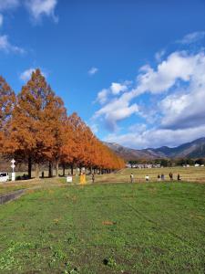 Paesaggio naturale nelle vicinanze della casa vacanze