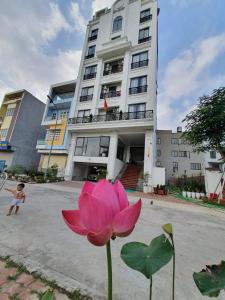 a pink flower in front of a building at SUN HOTEL & APARTMENT in Bắc Ninh