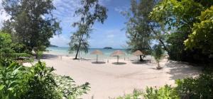 a beach area with umbrellas and chairs at Nest Beach Club in Koh Rong Island