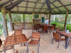Blokhus, a stunning retreat in the treetops的阳台或露台