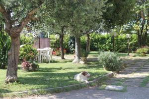 A garden outside B&B Angels