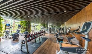 The fitness centre and/or fitness facilities at Flamingo Dai Lai Resort - Villa 1 Phòng Ngủ