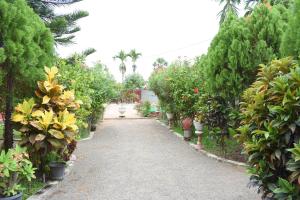 a walkway through a garden with plants and trees at AKR Hotel Kilinochchi in Kilinochchi