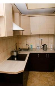 a kitchen with a sink and a counter top at Lviv City Hostel in Lviv