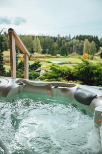 Bazén v ubytování Spa Hotel Ezeri nebo v jeho okolí