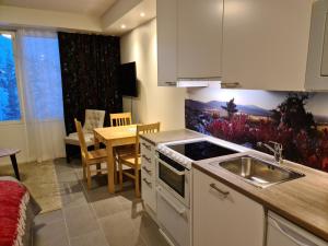 a kitchen with a sink and a stove top oven at LeviBooking Lost in Levi apt 305 in Kittilä