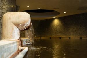 Imagem da galeria de Doğa Thermal Health & Spa em Pamukkale