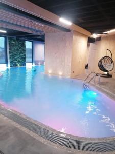 duży basen z błękitną wodą w budynku w obiekcie Blue Zet Apartament w Sarbinowie