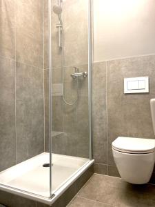 ein Badezimmer mit Dusche und Toilette in der Unterkunft Seven in Koblenz