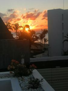 a sunset seen from a building with flowers on a balcony at Apartamentos Temisa in Puerto del Carmen
