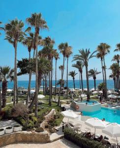 
a beach with palm trees and palm trees at Leonardo Plaza Cypria Maris Beach Hotel & Spa in Paphos
