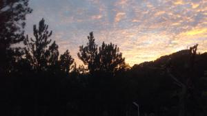 Gallery image of Emerald Mirror Guest Ella in Ella