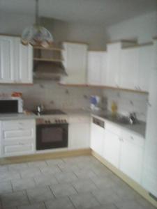 Kuchyň nebo kuchyňský kout v ubytování Ferienwohnung Hammerlhaus-Zirngast + 6 fotografií