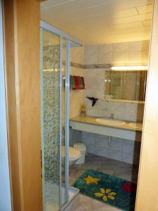 een badkamer met een douche, een toilet en een wastafel bij Haus Wallner in Klösterle am Arlberg