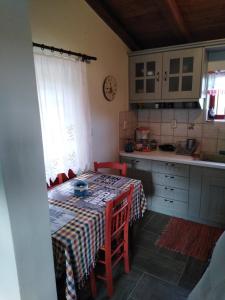 a kitchen with a table with a tablecloth on it at ΦΙΛΥΡΑ ΠΕΤΡΙΝΟ in Kernitsa