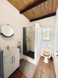 ein Badezimmer mit Toilette und Dusche mit Spiegel in der Unterkunft Heron Cottage - Living The Breede in Malgas