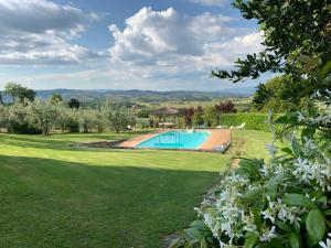 a large yard with a swimming pool in a garden at San Lorenzo in Monte San Savino