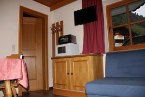 TV a/nebo společenská místnost v ubytování Haus Puit Mandarfen Pitztal