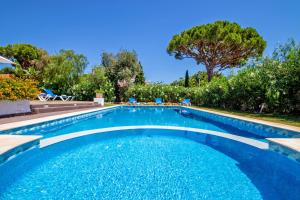 a swimming pool in a yard with trees at Villa Savannah by Algarve Vacation in Almancil