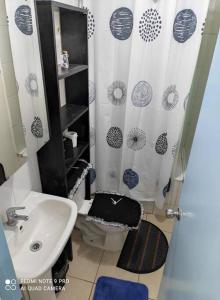 a bathroom with a sink and a toilet and a shower at Casa 5-6 Personas Puerto Natales in Puerto Natales