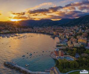 z powietrza widok na plażę z łodziami w wodzie w obiekcie Casa Tigullio Palace - parking place w Rapallo