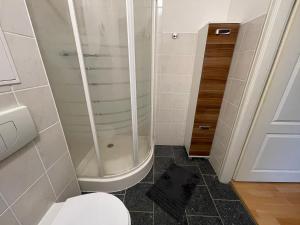 y baño pequeño con ducha y aseo. en Tränental 4.2 en Staßfurt