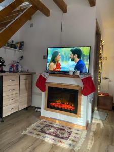 a living room with a fireplace with a tv above it at Casa de vacanța la Marita in Mariţa