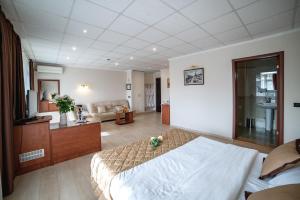 Postel nebo postele na pokoji v ubytování Hotel Novi Sad