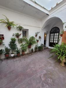 un patio con macetas en una pared blanca en Casa Cuna, en Arcos de la Frontera