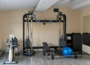 Gimnasio o equipo deportivo en Hotel Aurel