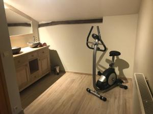 Fitness centrum a/nebo fitness zařízení v ubytování La Source de Chession