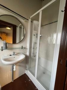 ein Bad mit einer Dusche und einem Waschbecken in der Unterkunft Hotel Cruells in Planoles