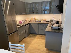 a kitchen with gray cabinets and a refrigerator at Vordernberg Štýrské Alpy in Vordernberg