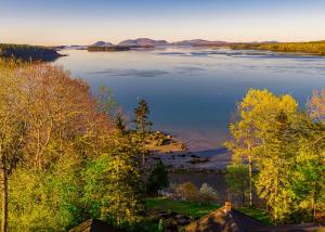 a view of a river with trees in the foreground at Lucky Stone Retreat - private beach & Acadia view in Sullivan +57 photos