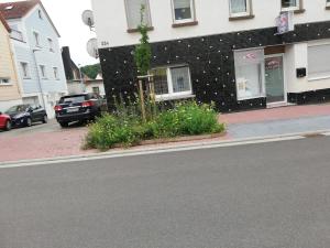 una calle con un edificio y flores a un lado de la carretera en Sunflower en Zweibrücken
