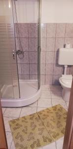 a bathroom with a shower and a toilet at Cabana Moieciu in Moieciu de Sus