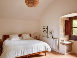 Легло или легла в стая в Les Canes