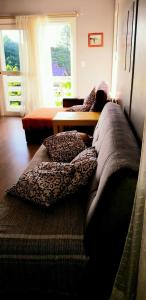 a couch in a living room with pillows on it at Casa Deni in Nova Petrópolis
