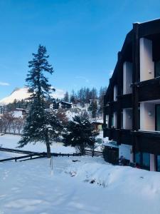a snow covered yard with a tree and a building at NEST'L Appartements & Zimmer in Mösern