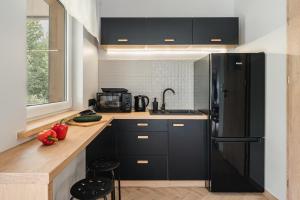 a kitchen with black cabinets and a black refrigerator at SZARE DOMKI Szczawnica in Szczawnica