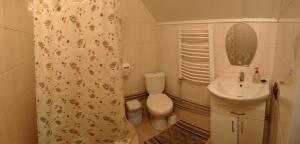 a small bathroom with a toilet and a sink at "Гірська гармонія" in Izki +41 photos