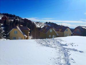 un gruppo di case su una collina innevata di Vikendica Kop a Kopaonik