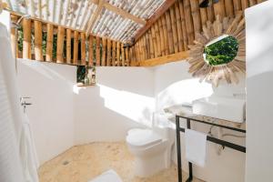 a bathroom with a toilet and a mirror at El Valle Lodge in El Valle