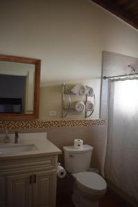 a bathroom with a toilet and a sink and a mirror at Viñas del Castillo in Ensenada