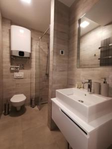 Kopaonik Lux Apartman في كوباونيك: حمام مع حوض أبيض ومرحاض