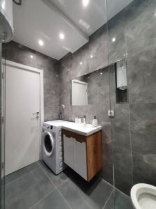 y baño con lavabo y lavadora. en Apartment, Stari Grad, Belgrade en Belgrado