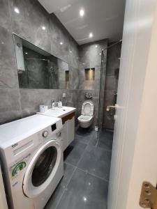La salle de bains est pourvue d'un lave-linge et de toilettes. dans l'établissement Apartment, Stari Grad, Belgrade, à Belgrade