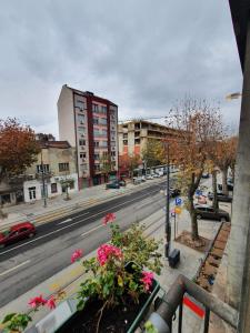 Blick auf eine Stadtstraße mit Gebäuden und Blumen in der Unterkunft Apartment, Stari Grad, Belgrade in Belgrad