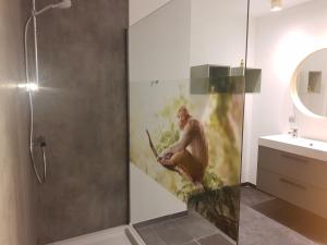 un baño con ducha y una pintura de un hombre en Vakantiewoning 'De Vlaamse Aap', en Dilsen-Stokkem 19 fotos más